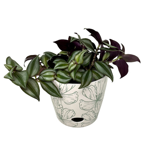 7" Green Flower Round Self-Watering Bamboo Pot