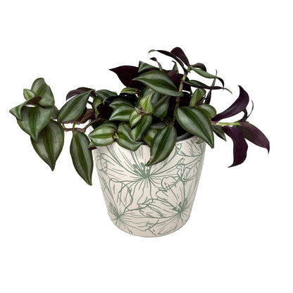 7" Green Flower Round Self-Watering Bamboo Pot