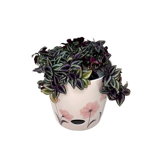 7" Pink Flower Round Self-Watering Bamboo Pot