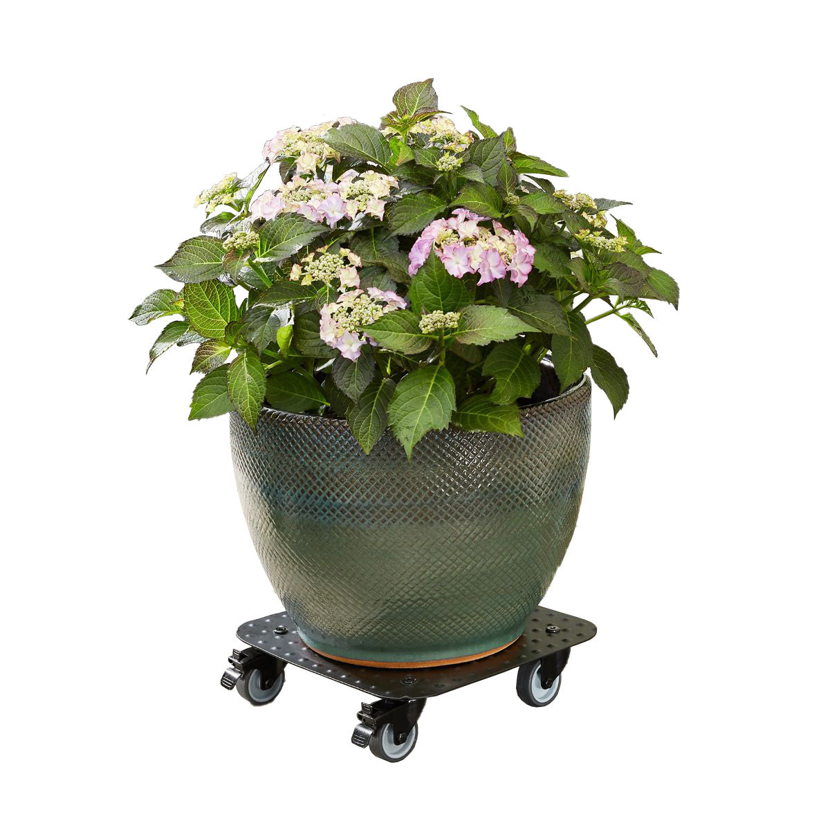 11.4" Black Square Aluminum Plant Caddy