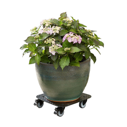 11.4" Black Square Aluminum Plant Caddy