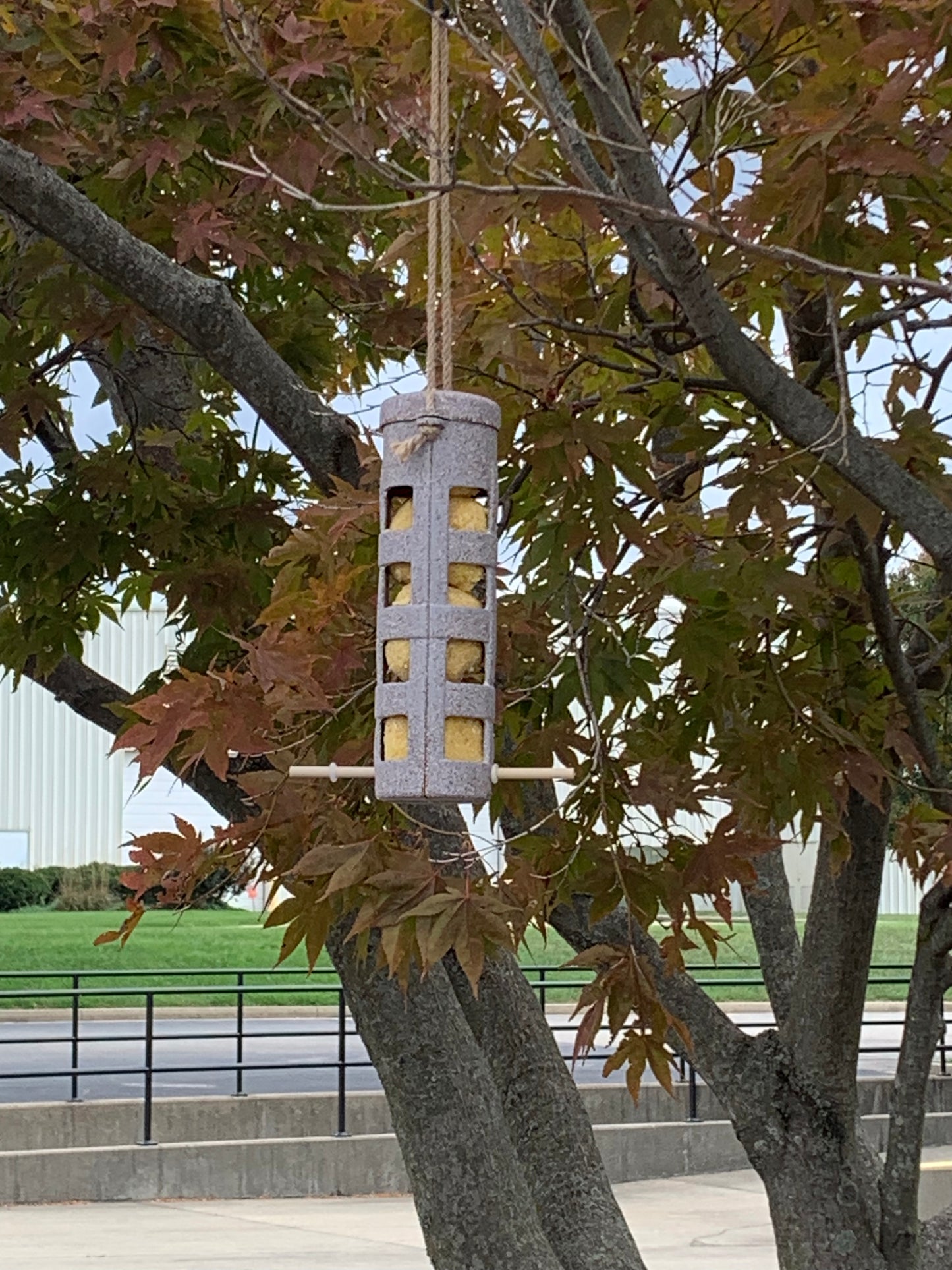 Suet Ball Feeder - Straw