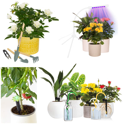 Plant Deluxe Kit