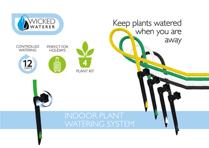 Plant Grow Kit