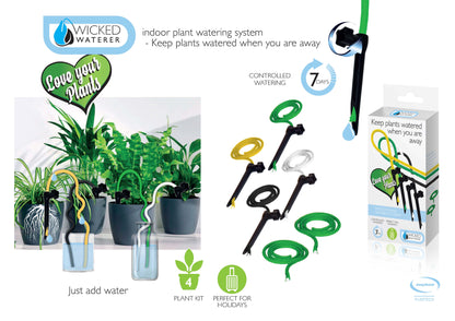 Plant Grow Kit