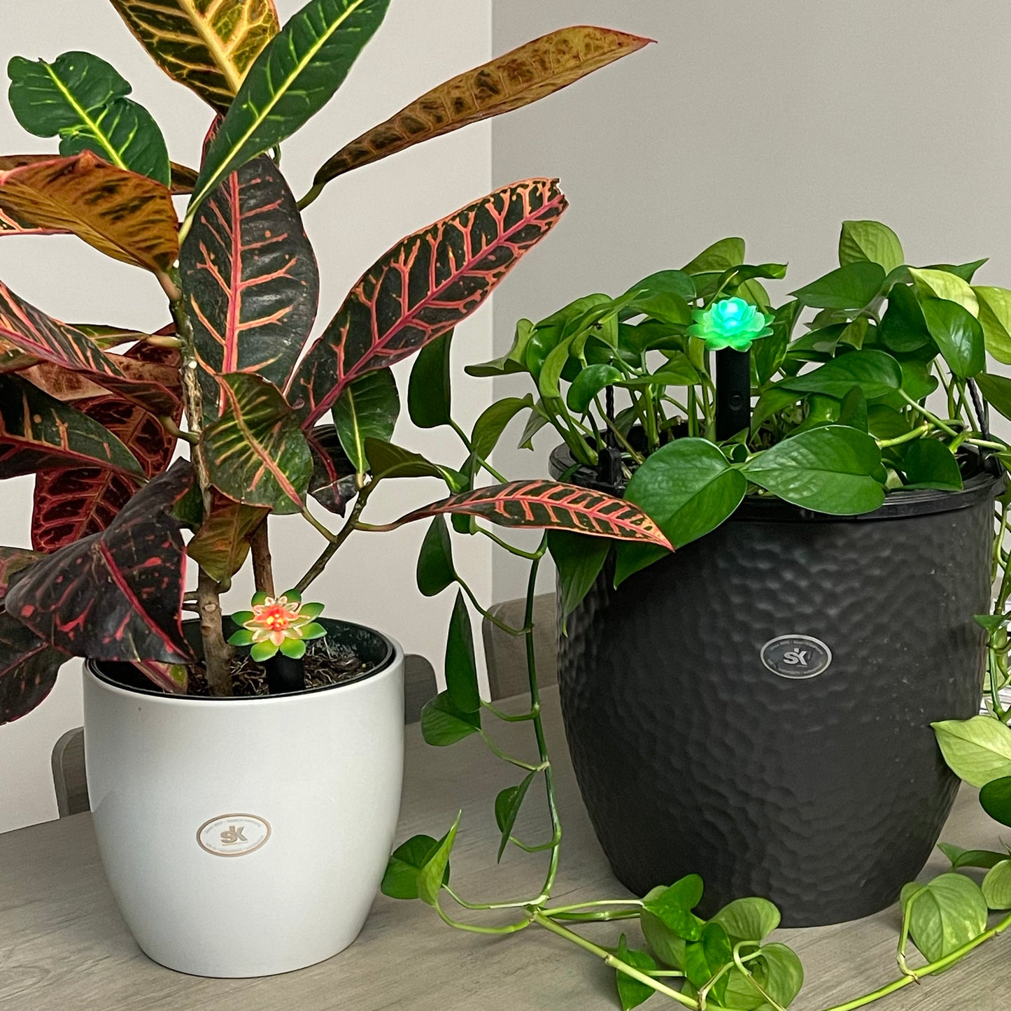 Plant Alarm Kit