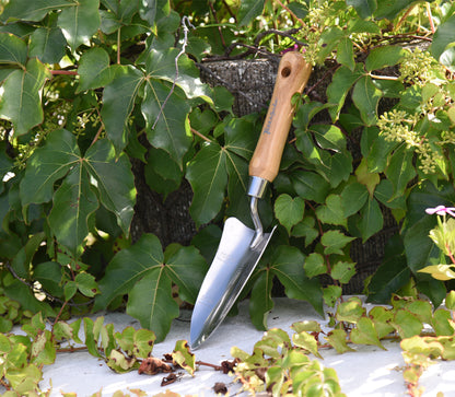 Green Tidy Tray with Stainless Steel Transplanter and Scoop