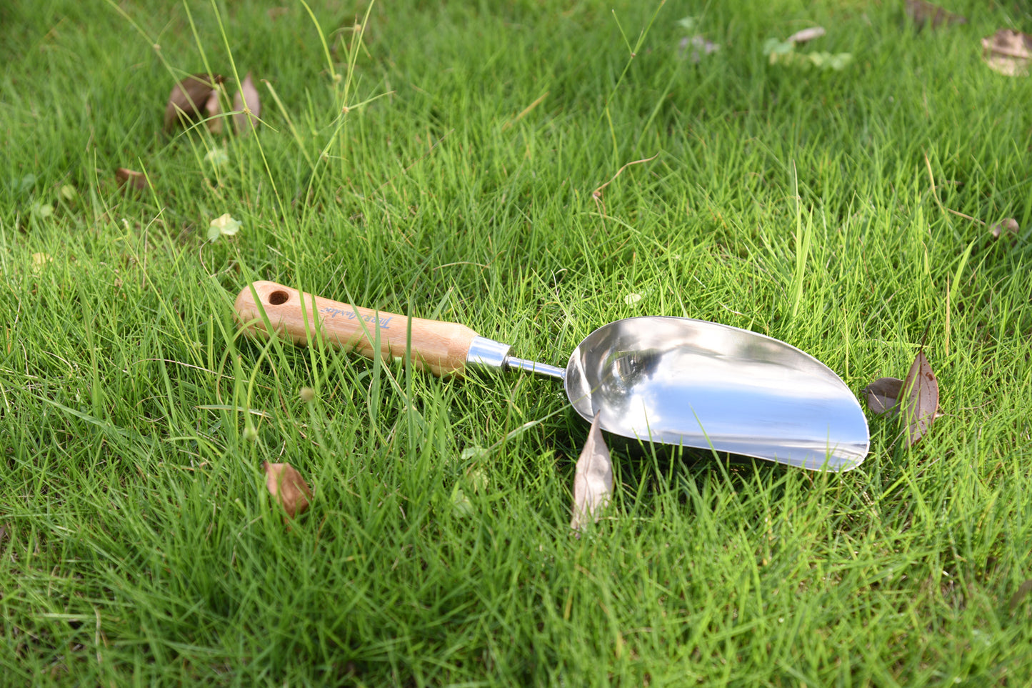 Green Tidy Tray with Stainless Steel Transplanter and Scoop