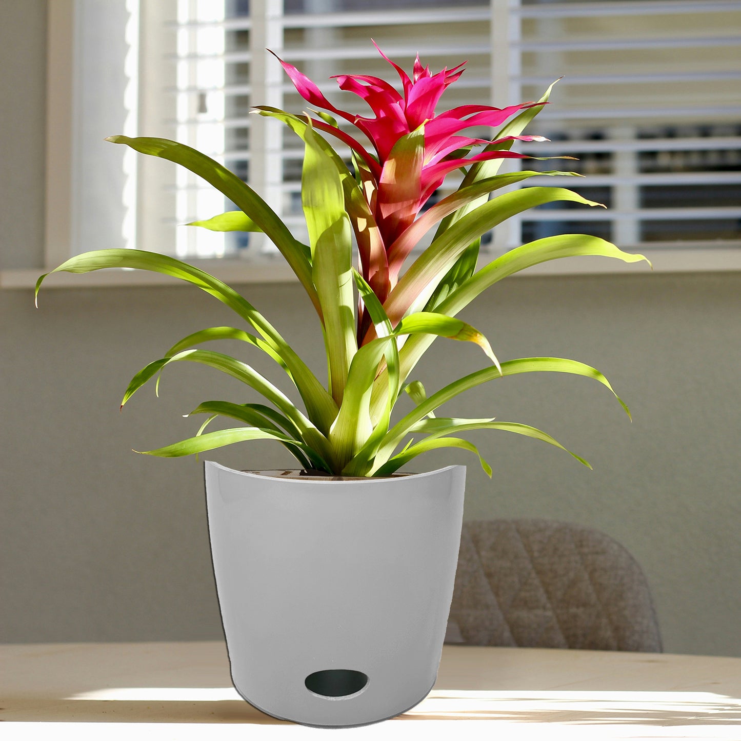 7" Gray Round Self-Watering Bamboo Pot