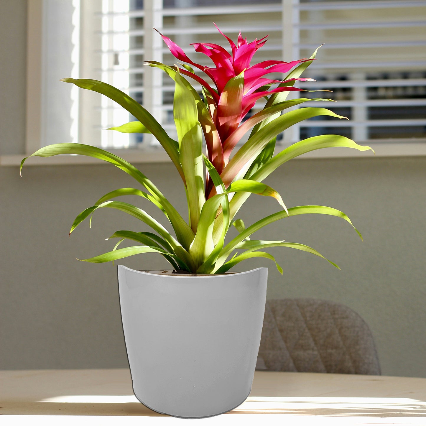 7" Gray Round Self-Watering Bamboo Pot