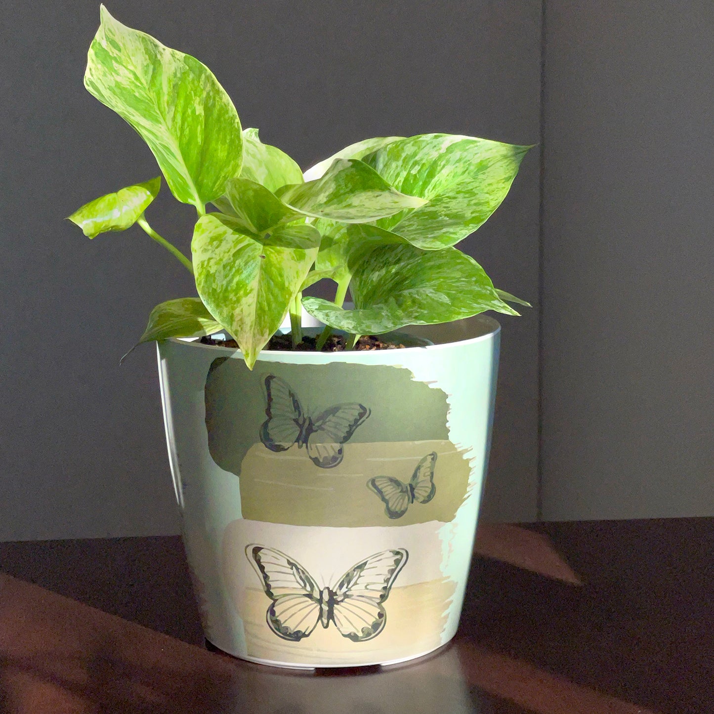 7" Butterfly Round Self-Watering Bamboo Pot