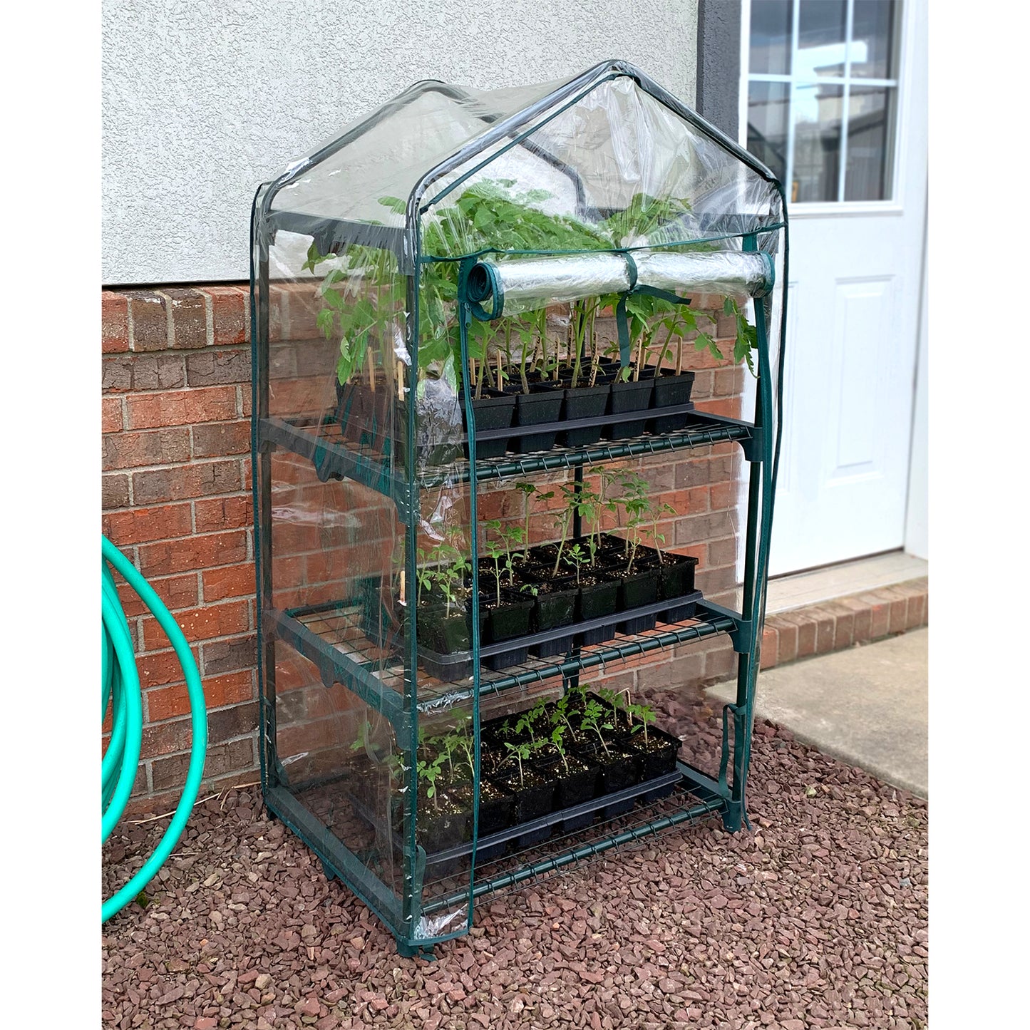 3 Shelf Greenhouse