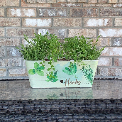 16" Herbs Rectangular Self-Watering Bamboo Planter