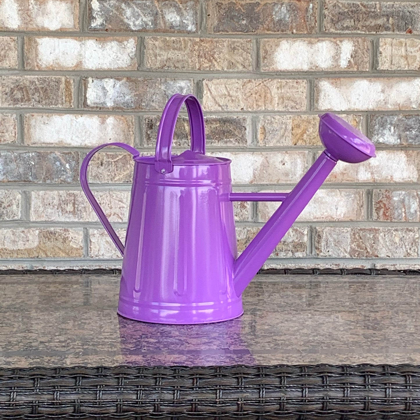 1.2 gal Violet Metal Watering Can