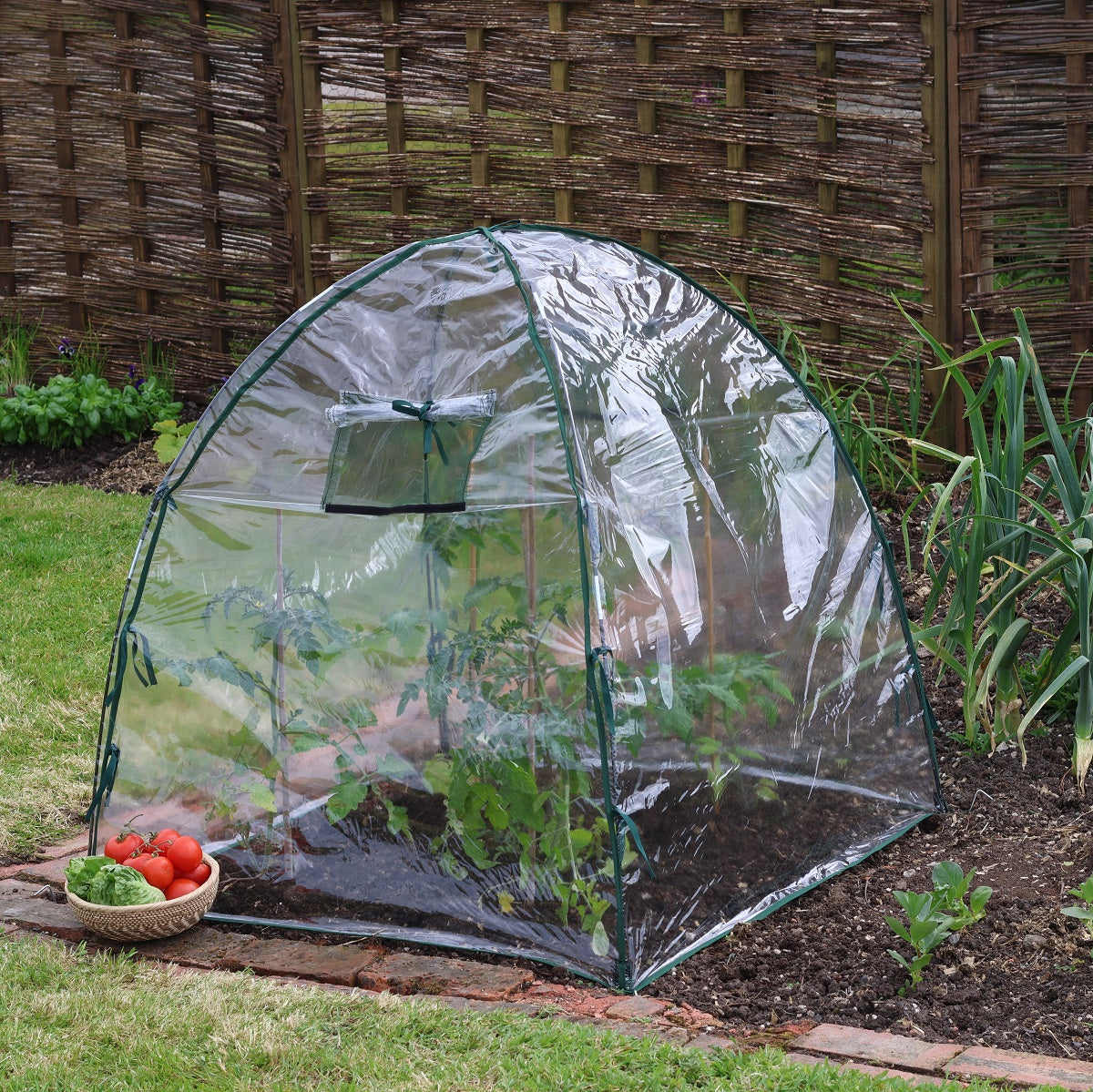 Giant Easy Poly Dome