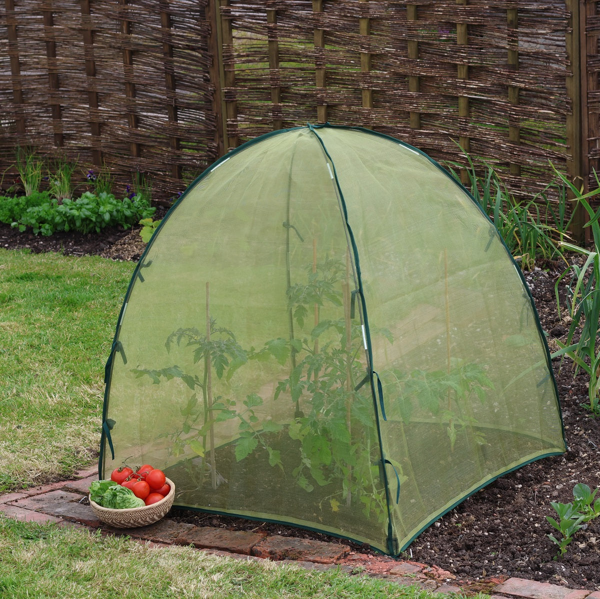 Giant Easy Micromesh Dome