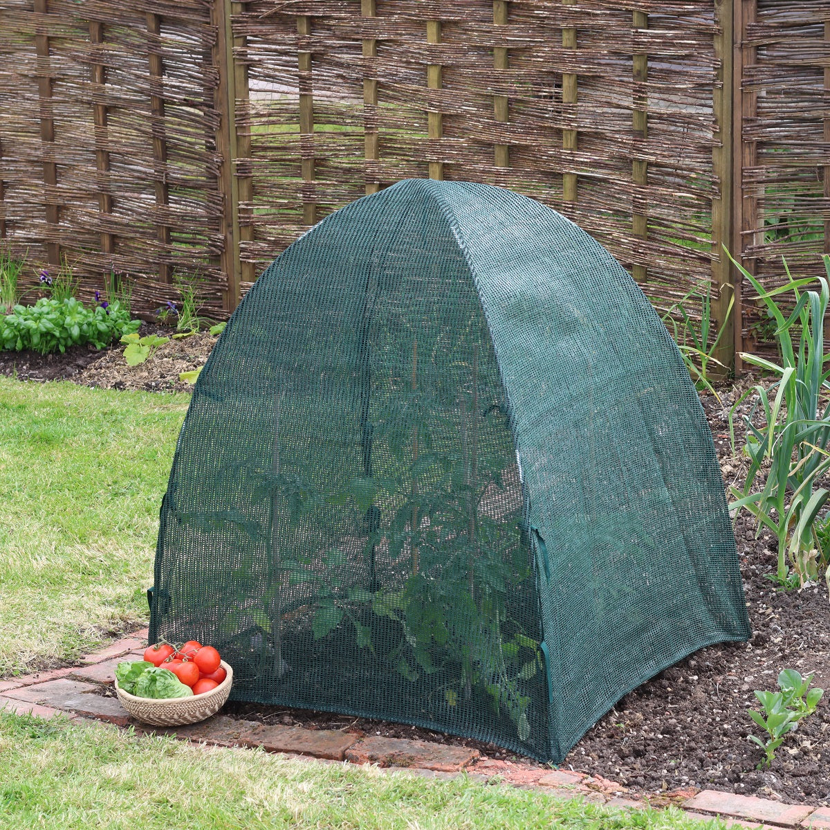 Giant Easy Net Dome
