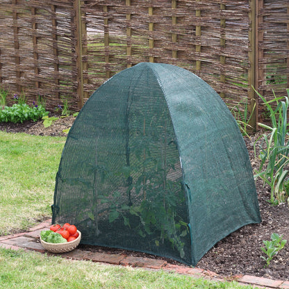 Giant Easy Net Dome
