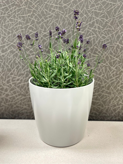 7" Gray Round Self-Watering Bamboo Pot