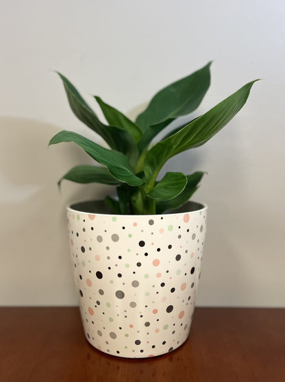 7" Dots Round Self-Watering Bamboo Pot