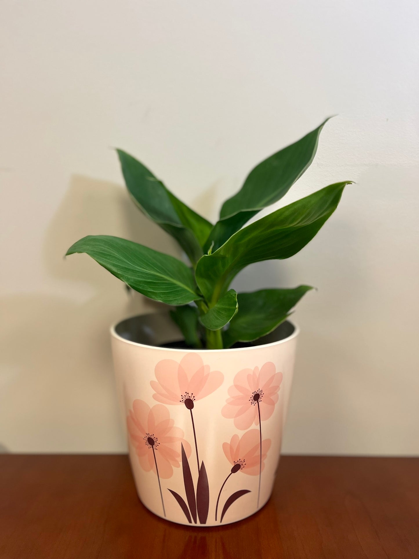 7" Pink Flower Round Self-Watering Bamboo Pot