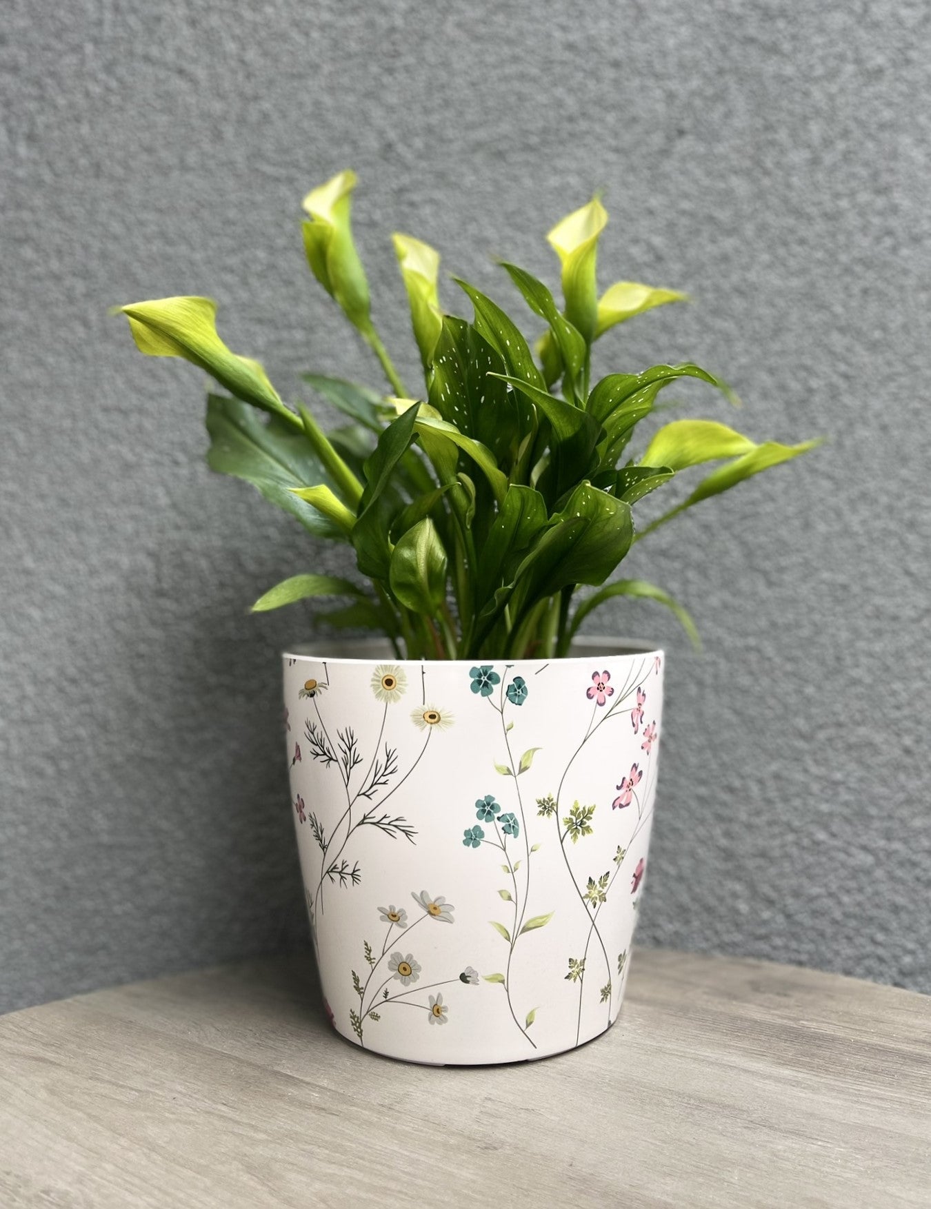 7" Wildflower Round Self-Watering Bamboo Pot