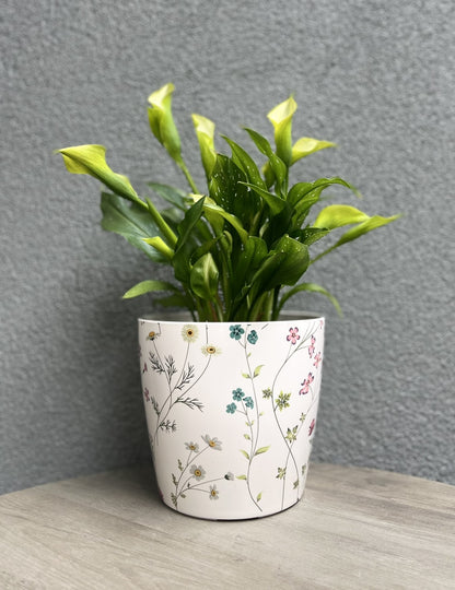 7" Wildflower Round Self-Watering Bamboo Pot