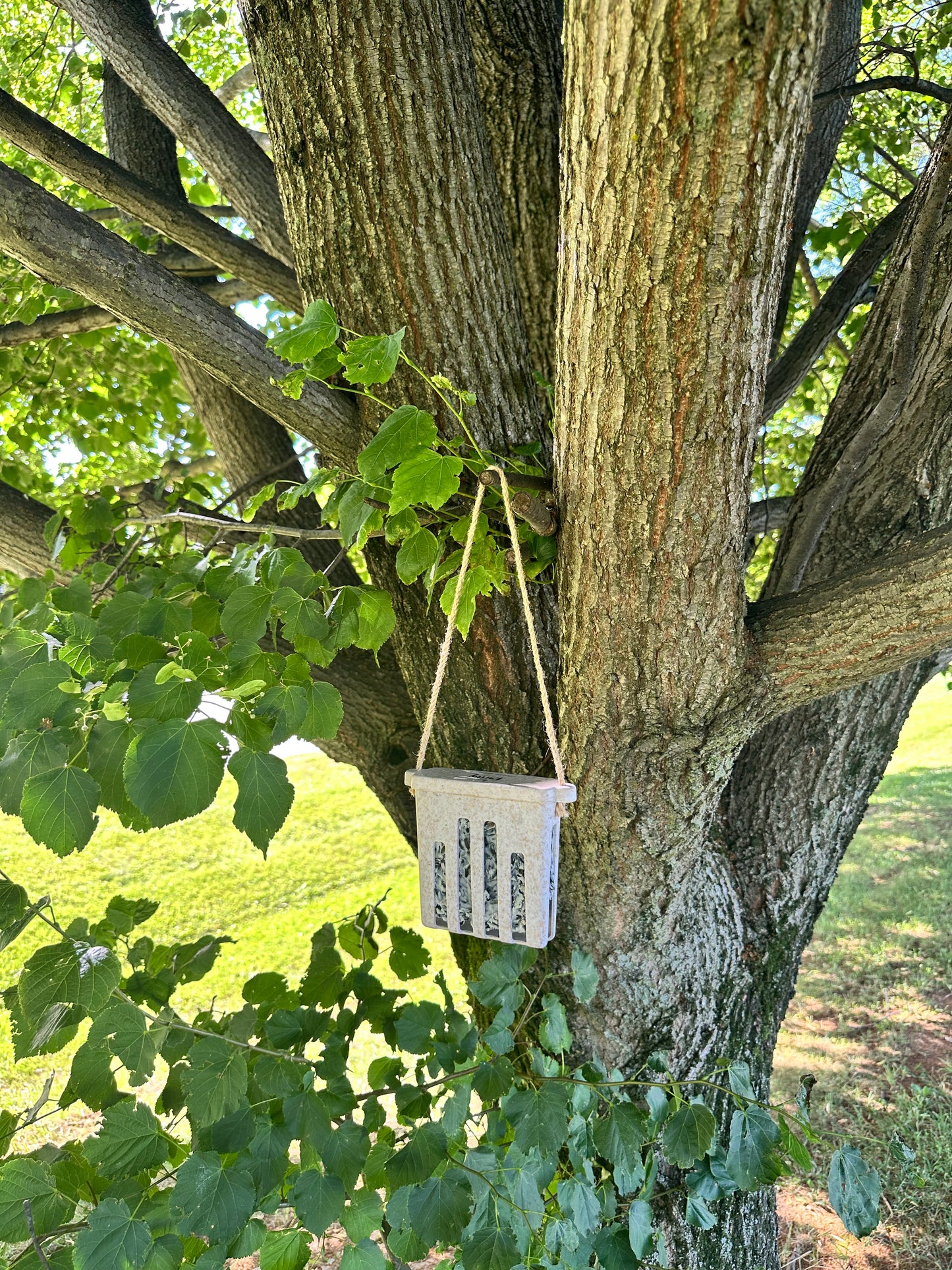 Suet Cake Feeder - Chaff