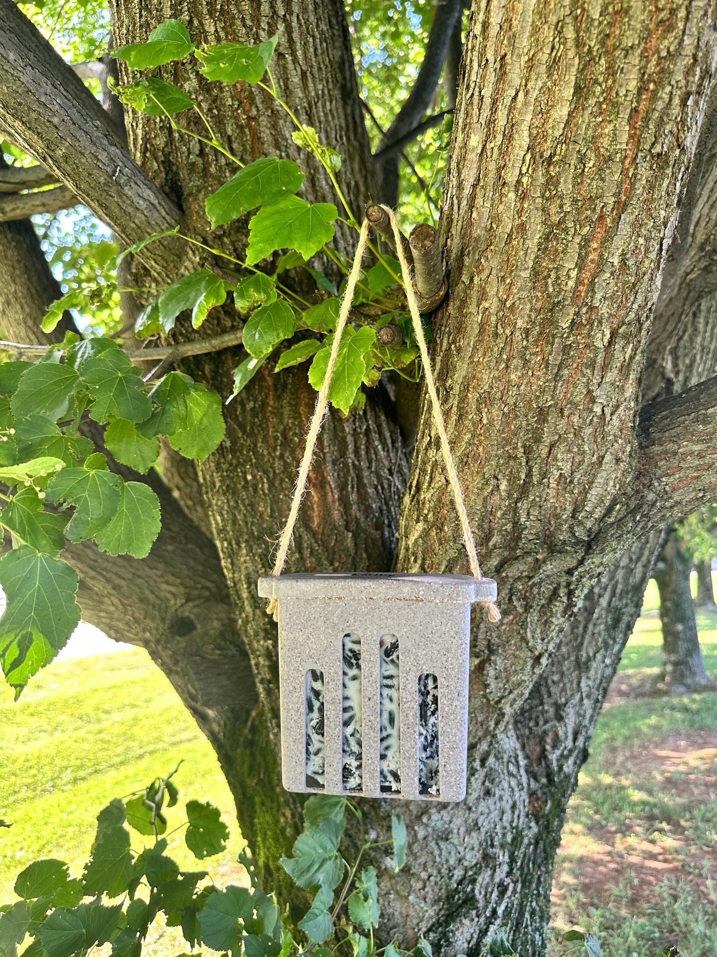Suet Cake Feeder - Nut Husks