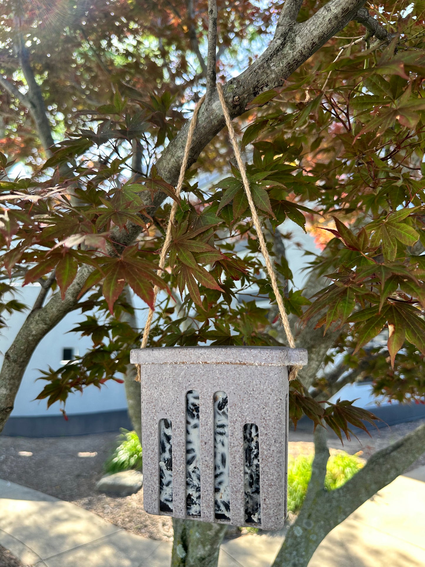 Suet Cake Feeder - Nut Husks