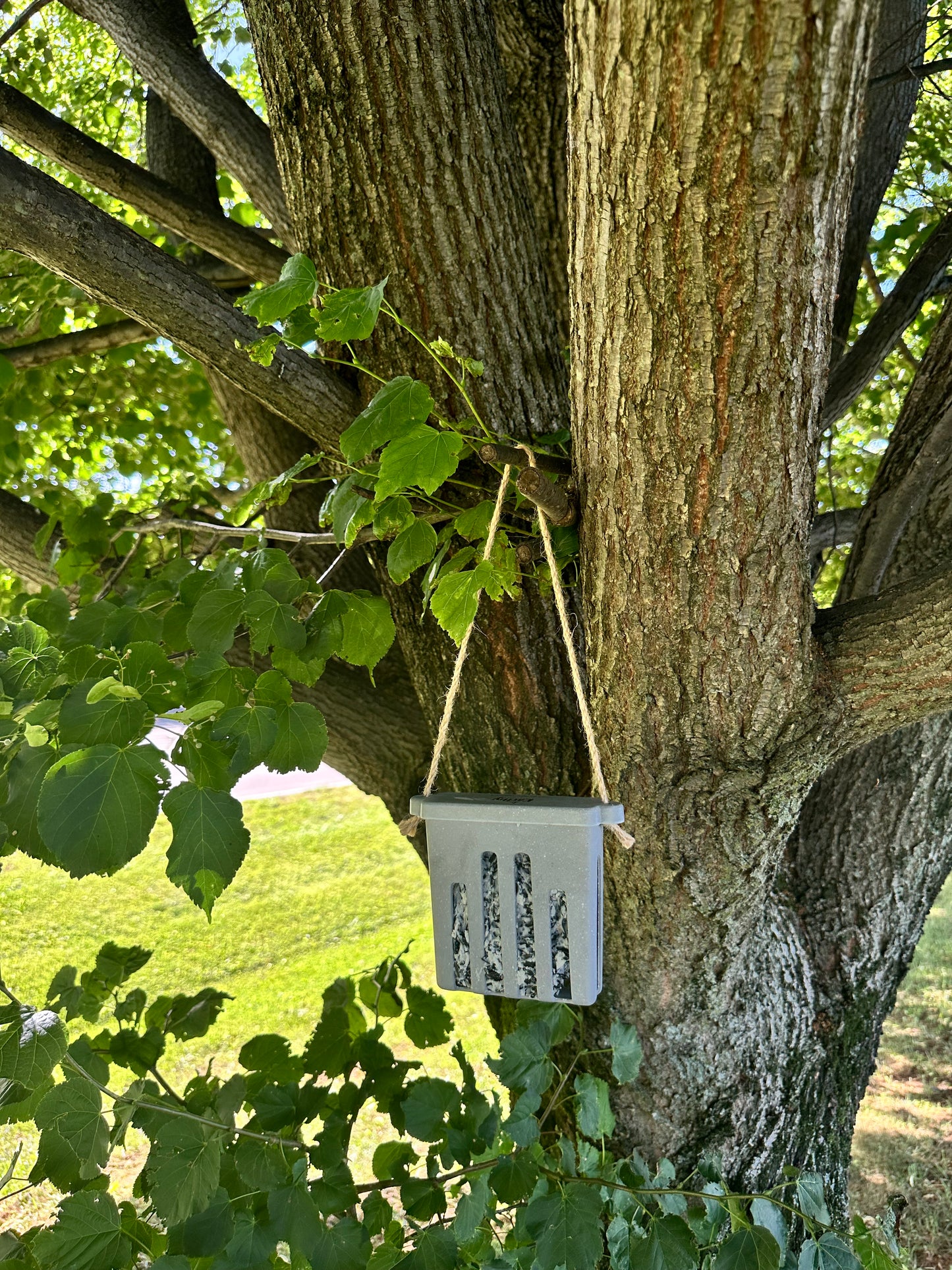 Suet Cake Feeder - Straw