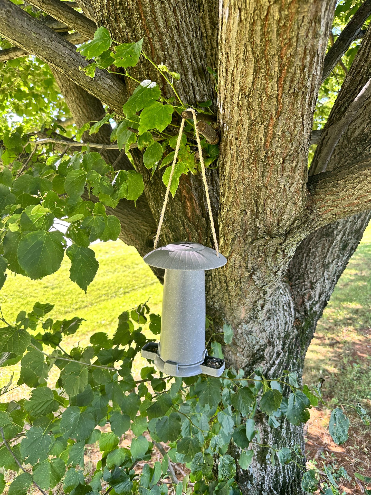 Seed Feeder - Straw