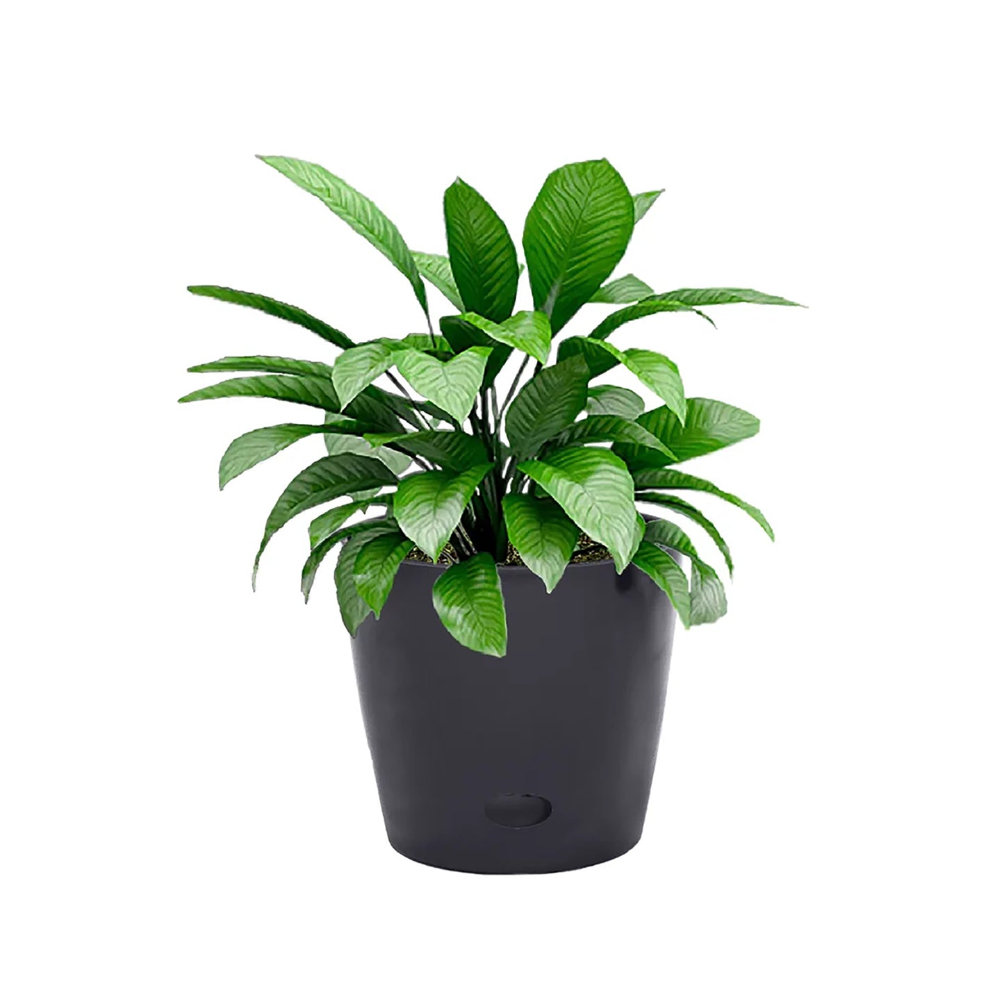 5" Black Round Self-Watering Bamboo Pot