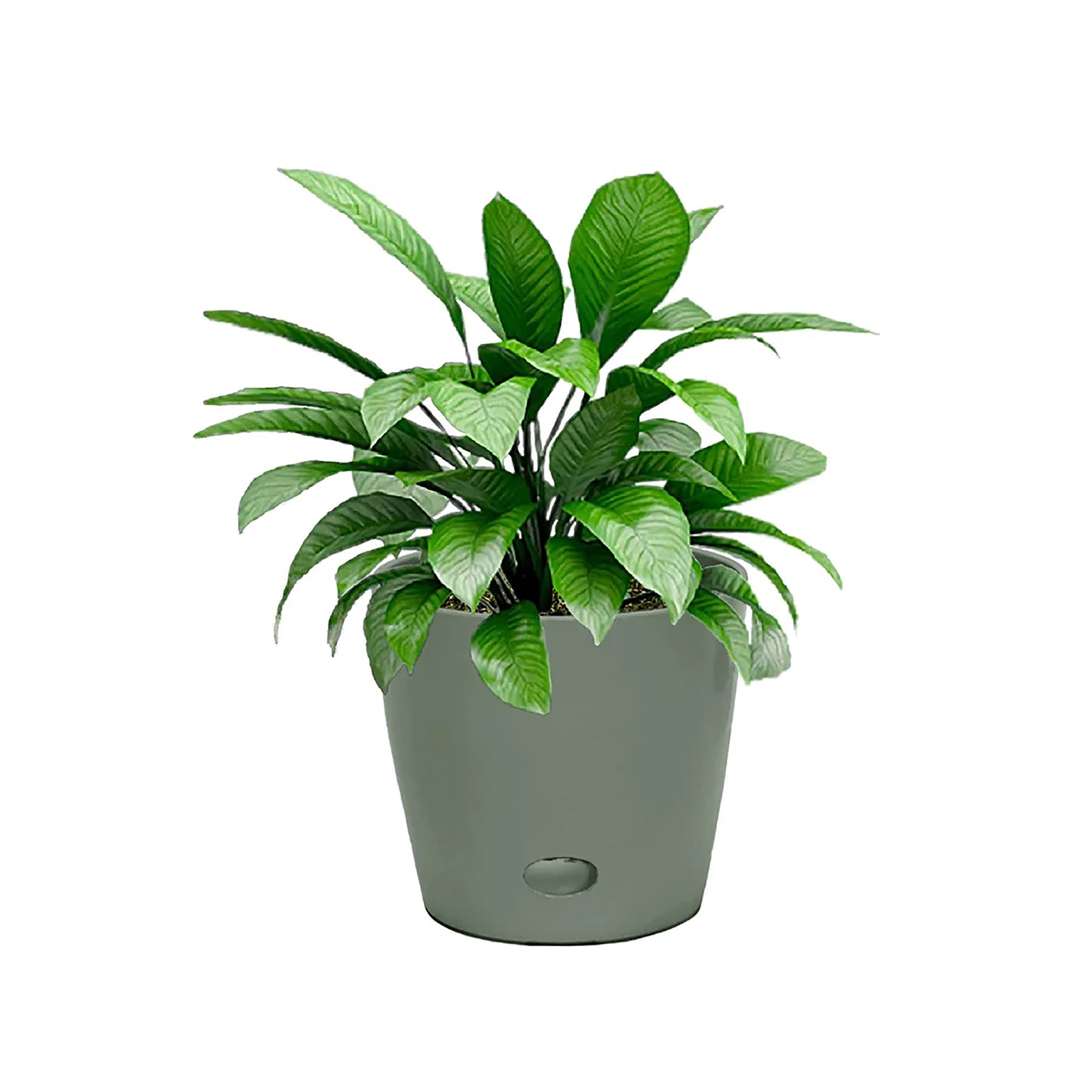 5" Sage Green Round Self-Watering Bamboo Pot
