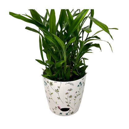 5" Wildflower Round Self-Watering Bamboo Pot