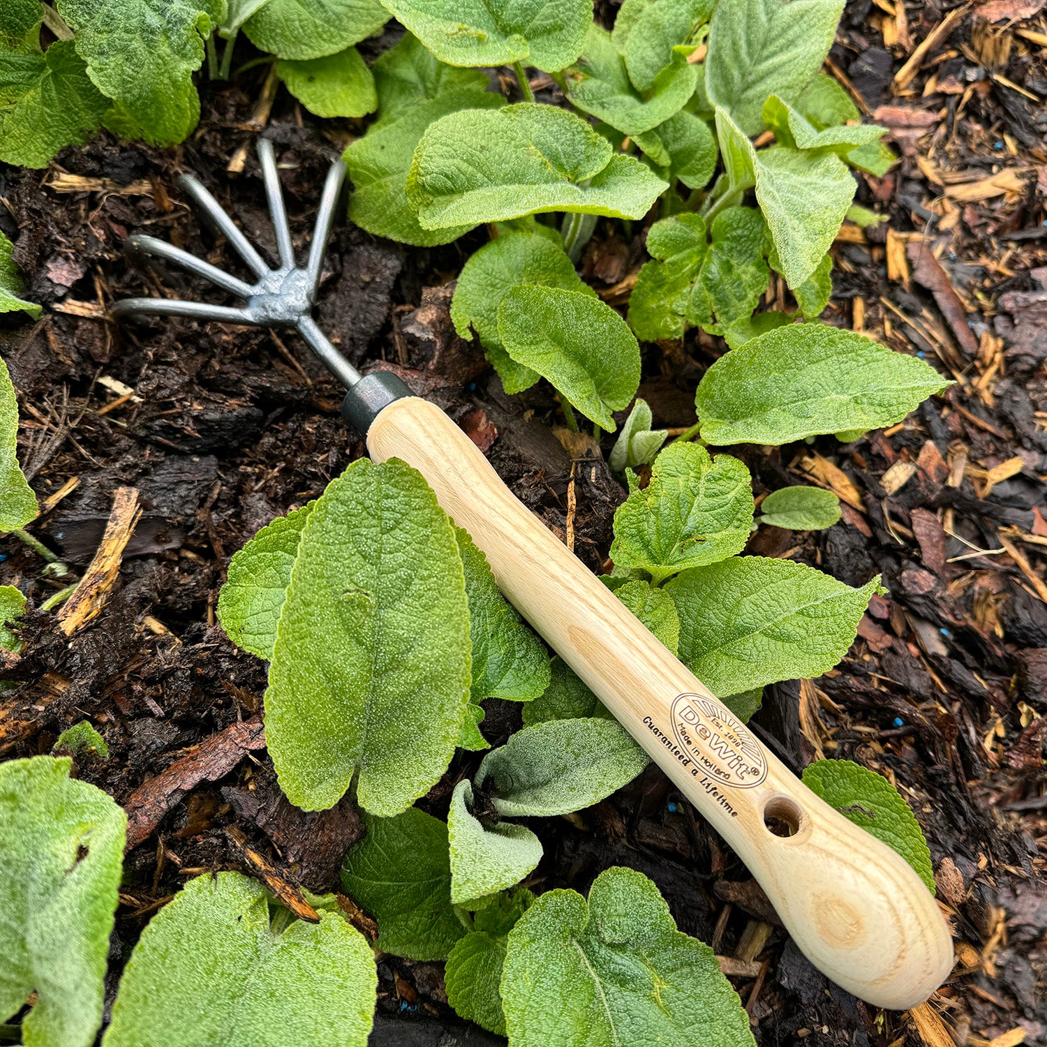 DeWit Cultivator - Thumbnail 5