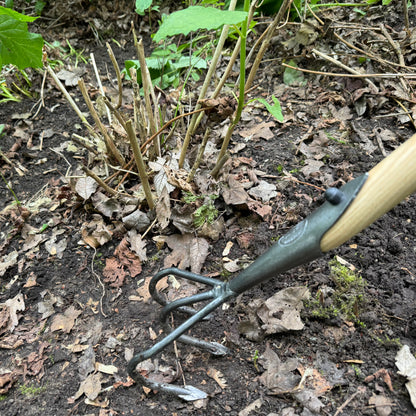 DeWit Cultivator - Flat 3-Tine Long Handle