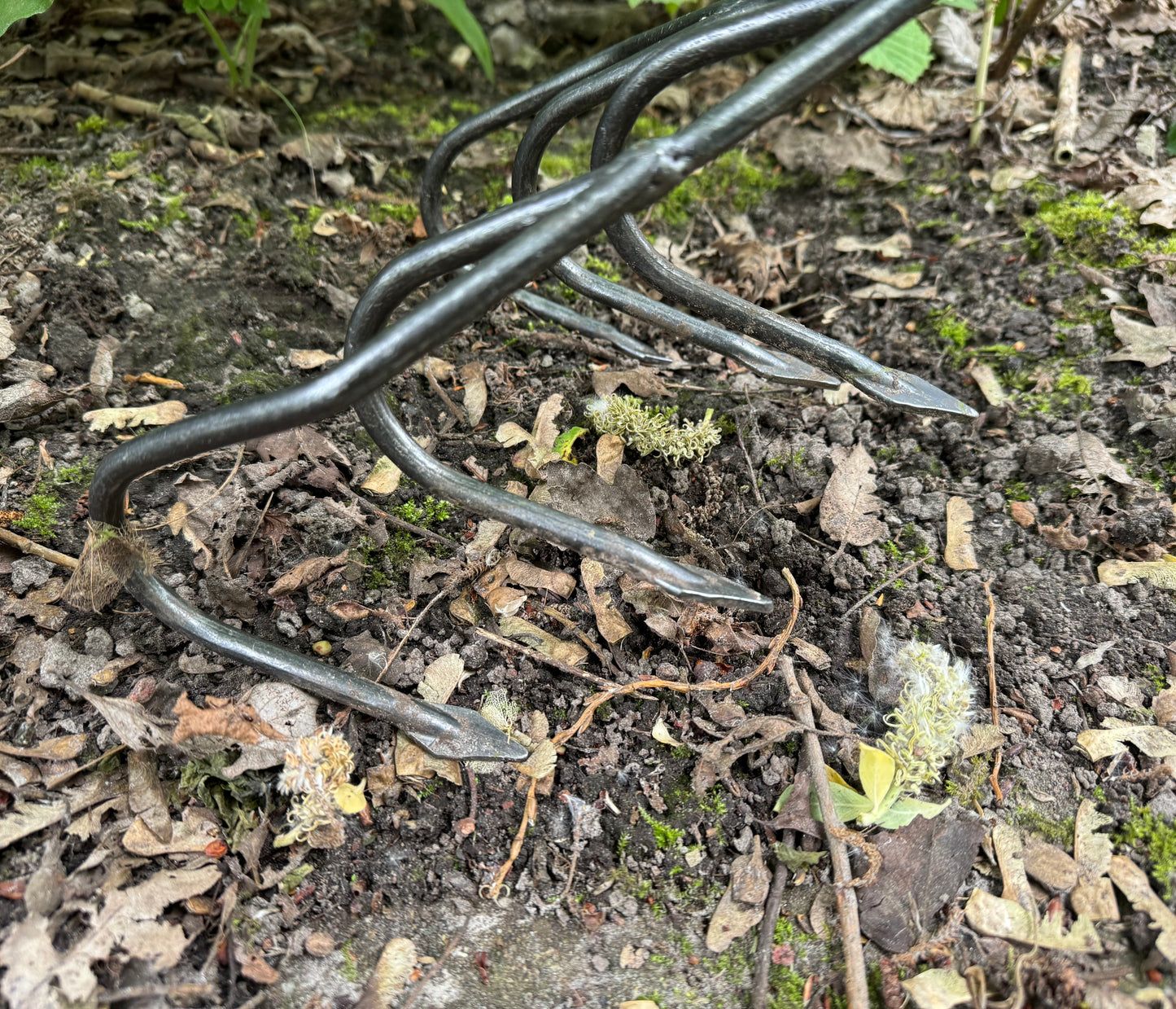 DeWit Cultivator - Flat 5-Tine Long Handle