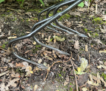 DeWit Cultivator - Flat 5-Tine Long Handle