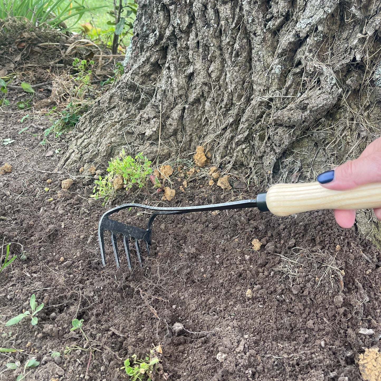 DeWit Cultivator - Bio Rake