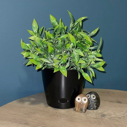 5" Black Round Self-Watering Bamboo Pot