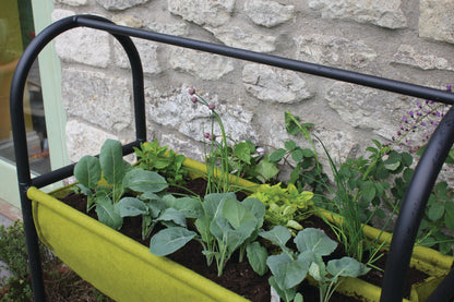 Vigoroot Easy Table Garden