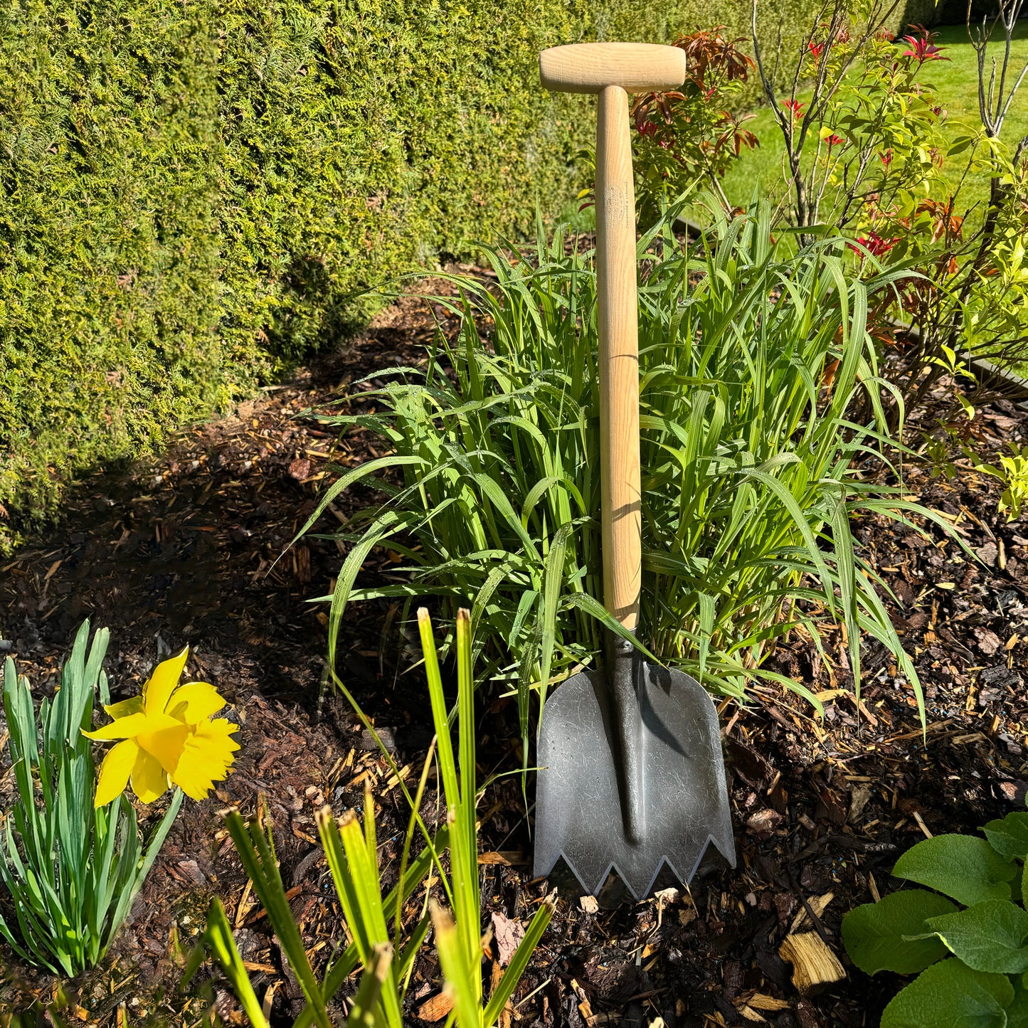 DeWit Shovel - Serrated T-Handle