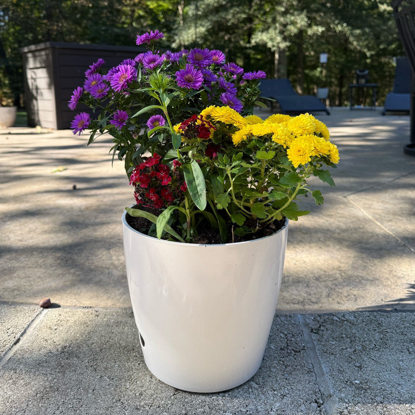 10" Cream Round Self-Watering Bamboo Pot