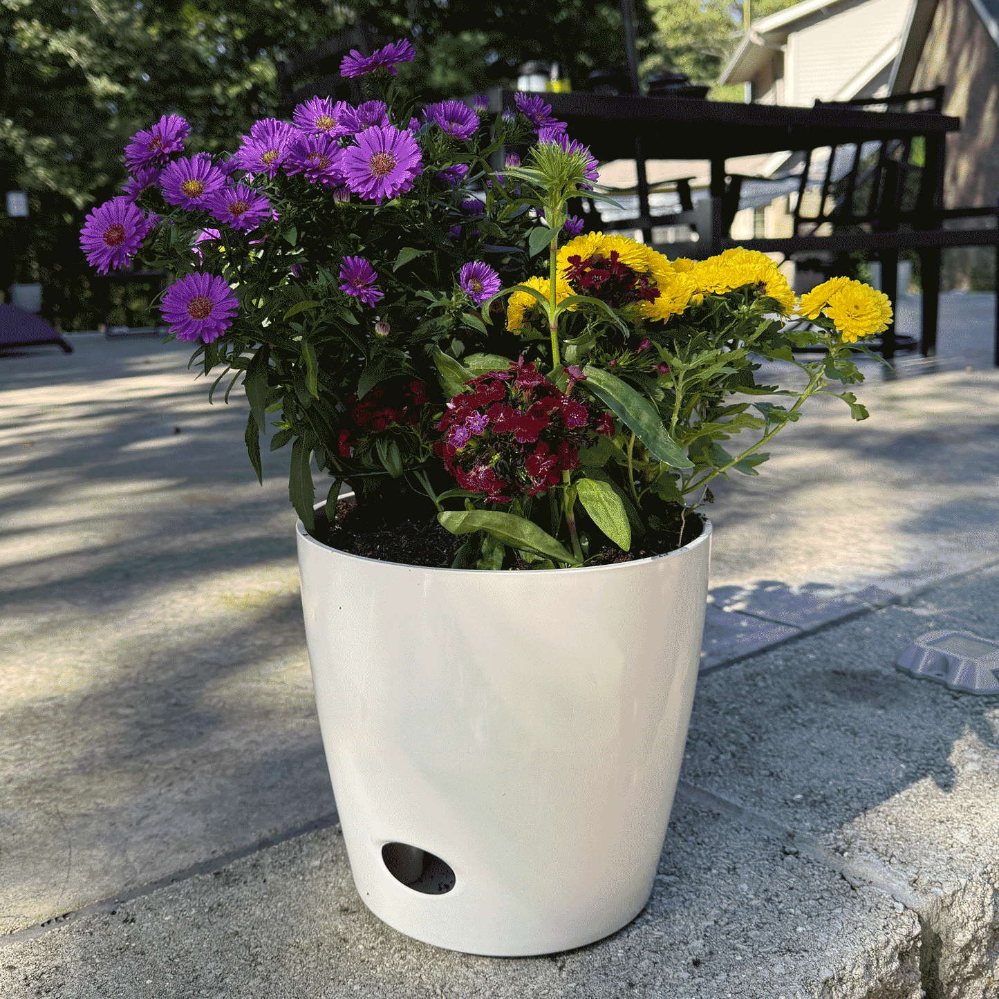 10" Cream Round Self-Watering Bamboo Pot