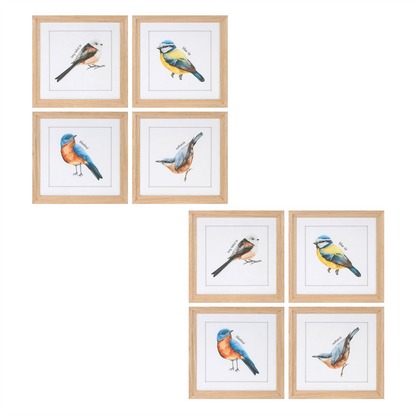 Framed Bird Print Under Glass (Set of 8)