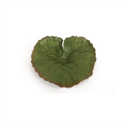 Assorted Bag of Leaves Filler (Set of 12)