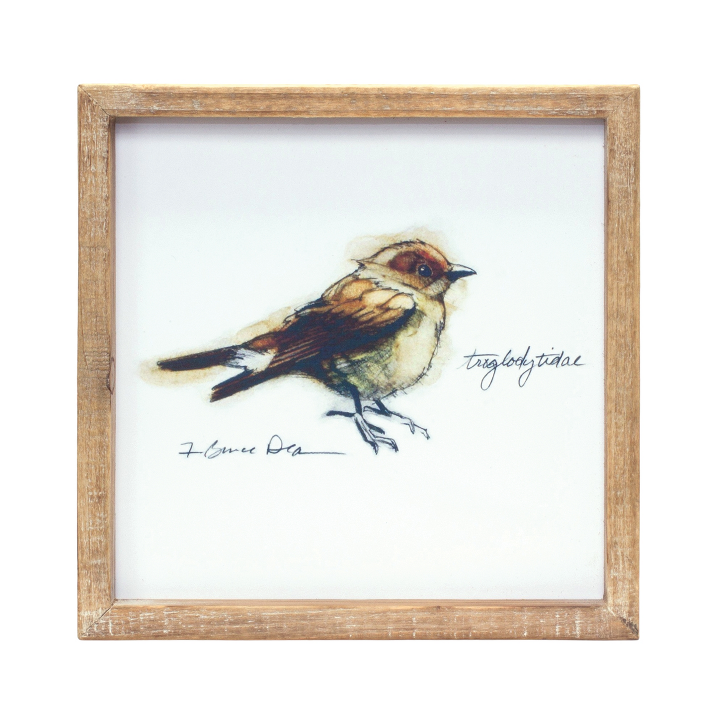 Framed Bird Print (Set of 4) 9.5”SQ MDF/Wood