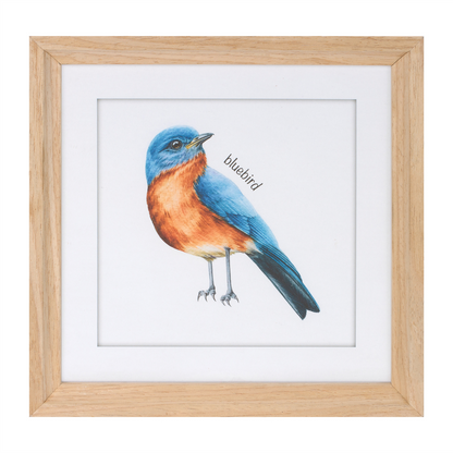 Framed Bird Print Under Glass (Set of 8)