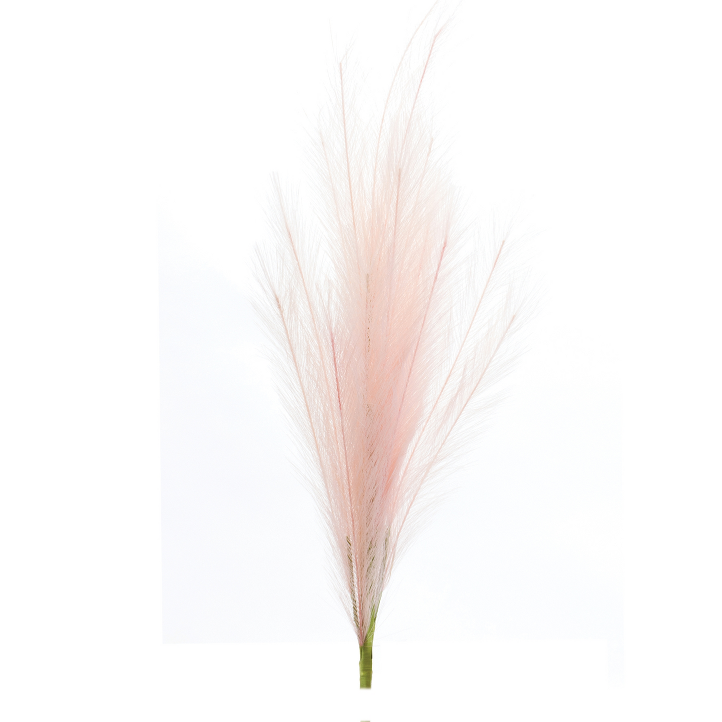 Assorted Pink Plume Spray (Set of 3)